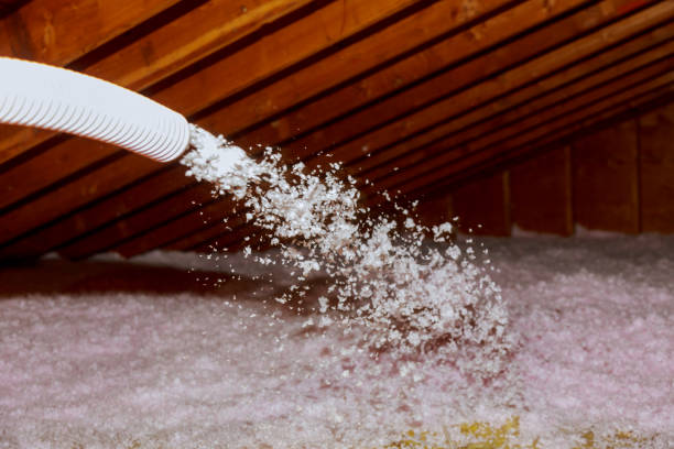 Best Insulation Installation Services in Pingree Grove, IL