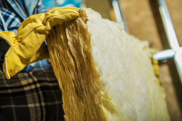 Best Commercial Insulation in Pingree Grove, IL
