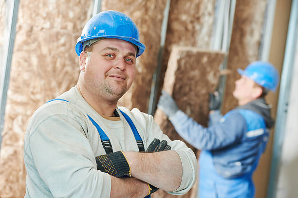 Best Insulation Materials and Products in Pingree Grove, IL
